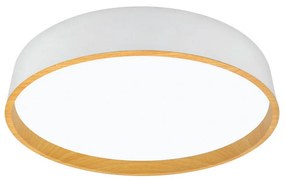 XXXLutz STROPNÉ LED SVIETIDLO, 40/8 cm - Séria svietidiel - 004182003801