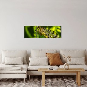 Obraz hmyzu (s hodinami) (90x30 cm)