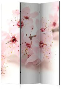 Paraván - Cherry Blossom [Room Dividers] Veľkosť: 135x172, Verzia: Jednostranný