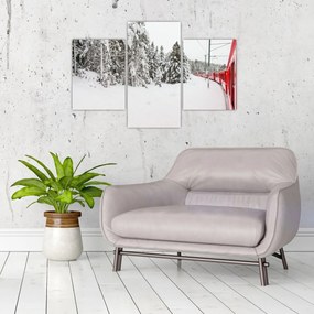 Obraz - Vlak v zasneženej krajine (90x60 cm)