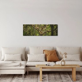 Obraz stromov (s hodinami) (90x30 cm)