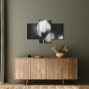 Obraz - Čiernobiely cottongrass (90x60 cm)