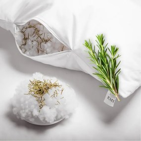 Aromatický vankúš Rosemary 50x70 cm EMI