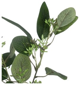 Umelý eukalyptus (výška 59 cm) – Ixia