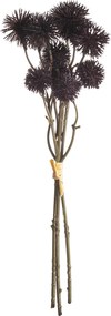 Kytica Kraspedia 30cm deep brown