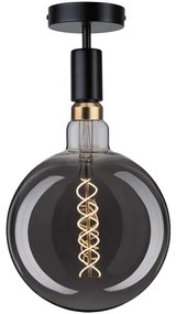 Paulmann 79760 - Stropné svietidlo HALDOR 1xE27/20W/230V