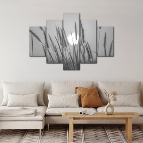 Obraz - Lúka pri západe slnka (150x105 cm)