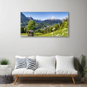 Obraz na plátne Hora pole príroda 120x60 cm