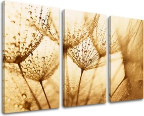 Obraz na stenu 3 dielny KVETY KV071E30 - 120x80 cm