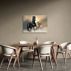 Sklenený obraz - Kone (70x50 cm)