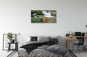 Sklenený obraz tiger vodopád 140x70 cm