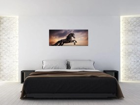 Obraz - Kone (120x50 cm)
