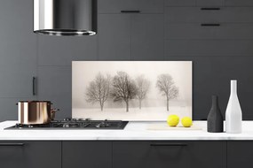 Sklenený obklad Do kuchyne Sneh stromy príroda 125x50 cm