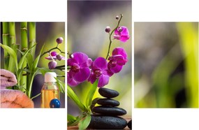 Obraz - spa and stones (90x60 cm)