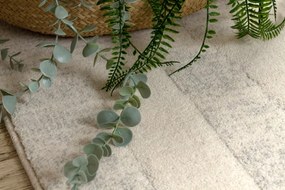 Koberec TEXTURA 488.17.LA101 Osta sivý / krémový