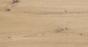 Šatníková skriňa so zrkadlom Savina 225 cm, dub artisan/šalviová