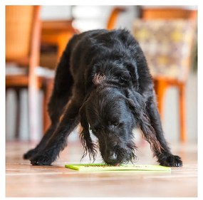 Lízacia podložka Buddy Green – LickiMat