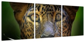 Obraz - Portrét leoparda, Sri Lanka (s hodinami) (90x30 cm)