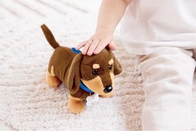 Hape Súprava veterinára - starostlivosť o šteniatko