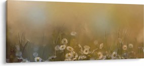Obraz - Olejomaľba sedmokrások (120x50 cm)