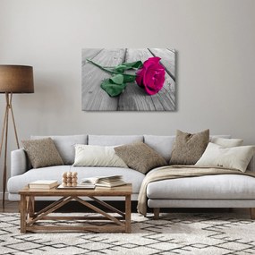 Obraz - Ružová ruža so zelenou stonkou (90x60 cm)
