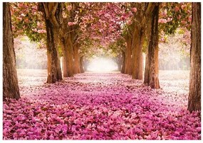 Samolepiaca fototapeta - Pink grove Veľkosť: 441x315, Verzia: Samolepiaca