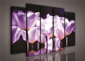 Obraz na plátne fialové kvety 150 x 100 cm