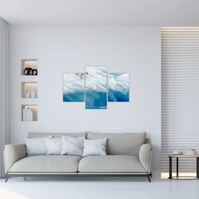 Obraz - Polárny medveď (90x60 cm)