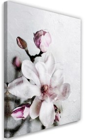 Gario Obraz na plátne Biely kvet magnólie - Dmitry Belov Rozmery: 40 x 60 cm