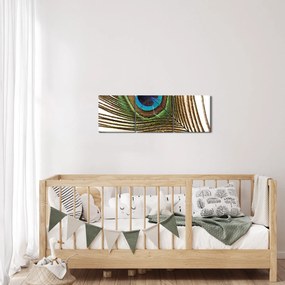 Obraz pávieho peria (s hodinami) (90x30 cm)