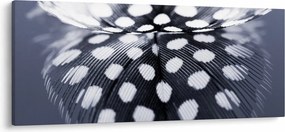 Obraz - Pierko (120x50 cm)