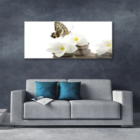 Obraz plexi Motýľ kvet kamene rastlina 125x50 cm