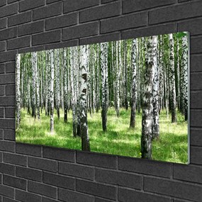 Skleneny obraz Les tráva rastlina príroda 120x60 cm