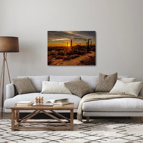 Obraz - Koniec dňa v arizonskej púšti (70x50 cm)