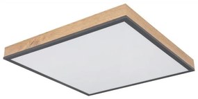 Globo 416080WD2 - LED Stropné svietidlo DORO LED/24W/230V