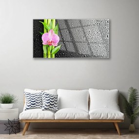Obraz na skle Bambus stonky kvet rastlina 140x70 cm