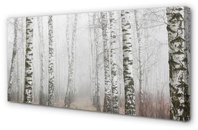 Obraz canvas hmla breza 140x70 cm