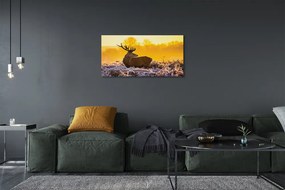 Obraz na plátne Jeleň zimné slnko 120x60 cm