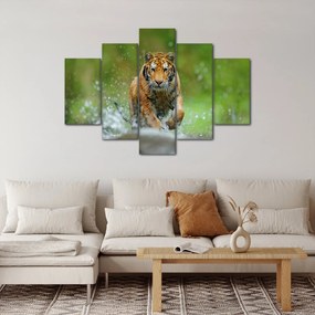 Obraz - Bežiaci tiger (150x105 cm)