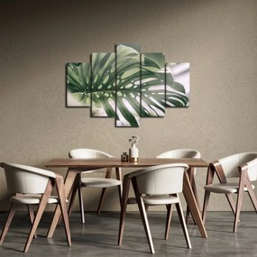 Obraz - List monštier (150x105 cm)