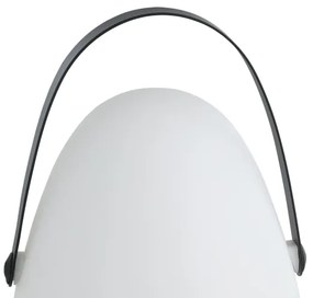 Eglo 48841 - LED Vonkajšia stolná lampa COLLIRADOS LED/3xAA IP44
