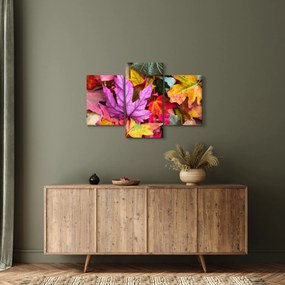 Obraz - jesenné listy (90x60 cm)