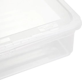 Keeeper Úložný box s vekom BEA Clearbox 9L, 39 x 35,5 x 9 cm
