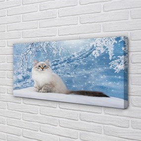Obraz na plátne mačka zima 140x70 cm