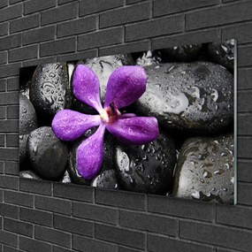 Skleneny obraz Kvet kamene umenie 120x60 cm