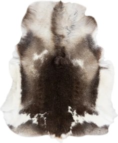 Koberec RENIFER POK003 PREMIUM hnedý / biely