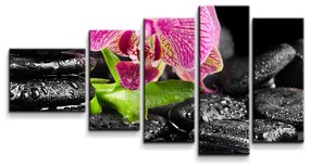 Sablio Obraz - 5-dílný Orchidea na kameňoch - 100x60 cm