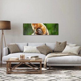 Obraz opíc (s hodinami) (90x30 cm)
