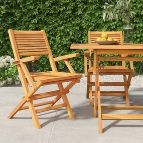 Skladacie záhradné stoličky 2 ks 55x62x90 cm tíkový masív 362762