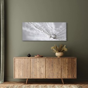 Obraz - Kvapka vody (120x50 cm)
